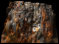 3D-Aufnahme eines mineralisierten Holzes (Eiche) von Saxgriff