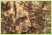 Beinahe vergangene Spuren von Lindenrinde deuten auf eine Grabbeigabe, vielleicht eine Tasche, hin. Das Bild zeigt die Reste einer usseren Lage der Rindenschicht