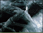 Whrend bei uns die ersten Frhlingstage einziehen, liegt auf dem Bajkalsee am 21. Mrz noch eine 1,5 Meter dicke Eisschicht. Risse und feine Blschen im glasklaren Eis schaffen zauberhafte Strukturen 